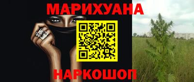 дмт Краснодар