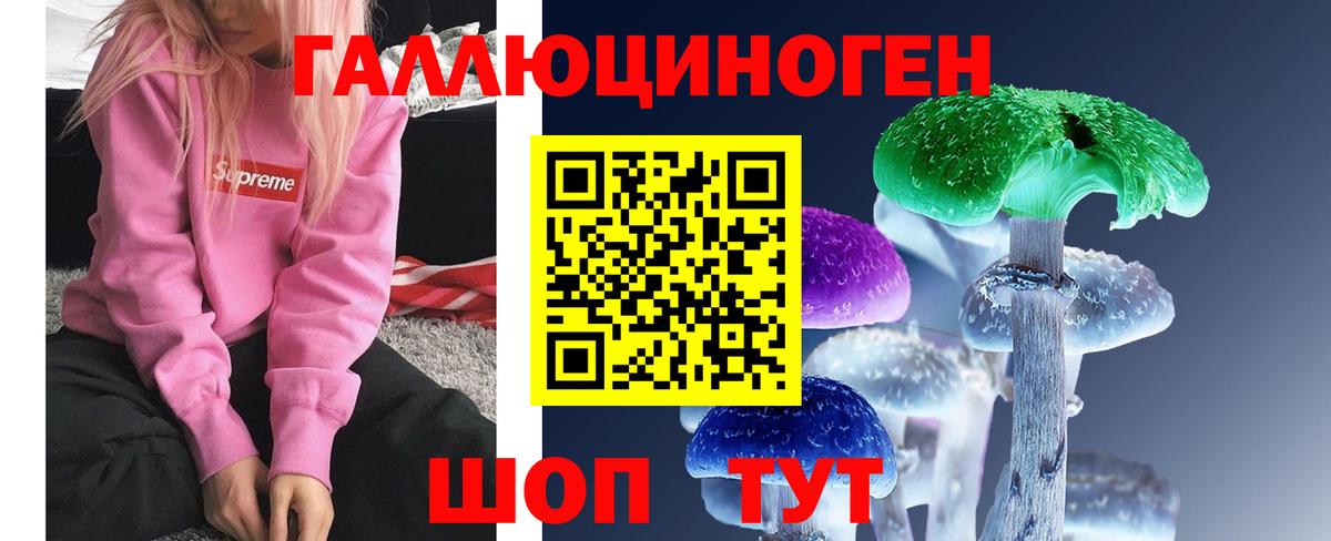 Галлюциногенные грибы Cubensis  Вход с VPN  Тула 
